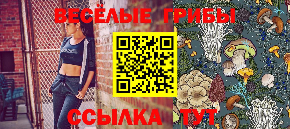 Кунгур  Галлюциногенные грибы Psilocybine cubensis  Псилоцибиновые грибы MAGIC MUSHROOMS  Вход с VPN 